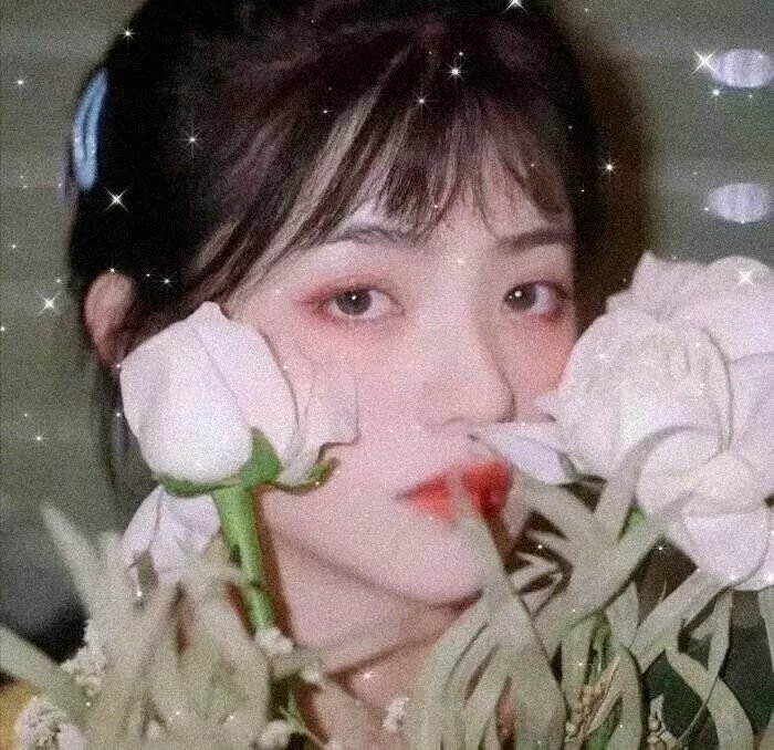 索玛丽与森林之神